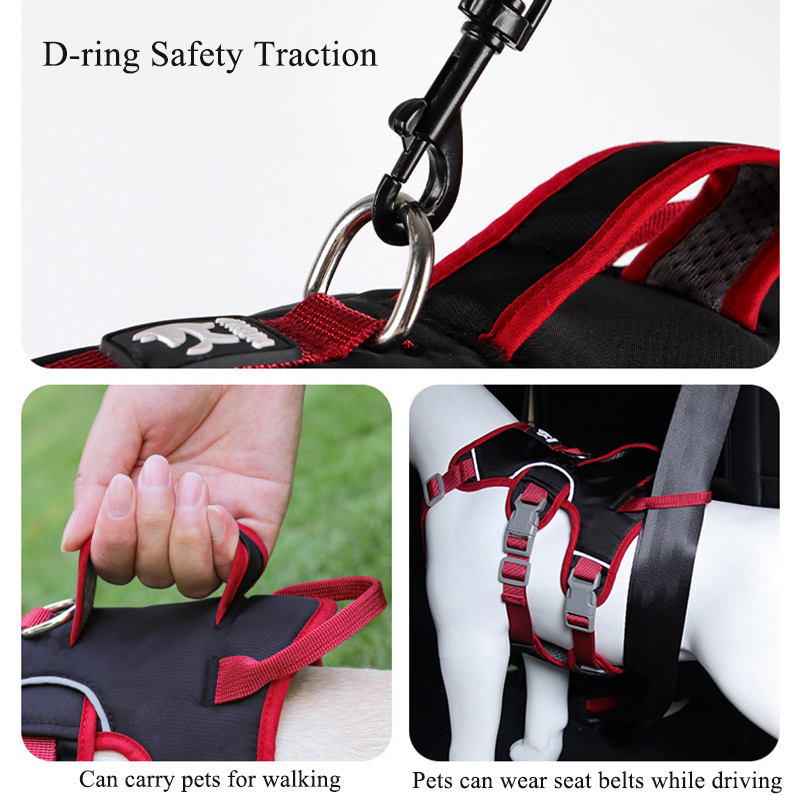 노풀 도그 하네스 야외 산책용 반려견 가슴끈 반사 조끼 - D Ring Strap 리뷰 및 가격